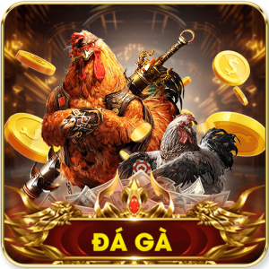 đá gà icon