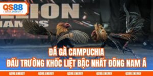 Đá Gà Campuchia - Đấu Trường Máu Lửa Bậc Nhất Đông Nam Á