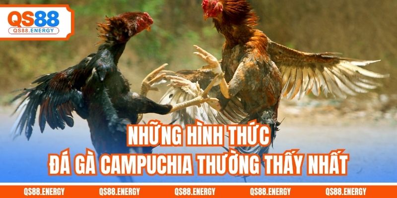 Những hình thức đá gà Campuchia thường thấy nhất