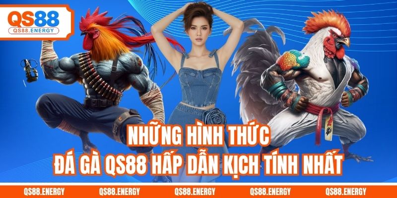 Những hình thức đá gà QS88 hấp dẫn kịch tính nhất