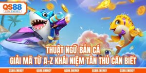 Thuật Ngữ Bắn Cá - Giải Mã Từ A-Z Khái Niệm Tân Thủ Cần Biết
