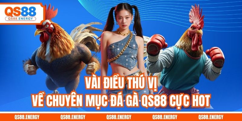 Vài điều thú vị về chuyên mục đá gà QS88 cực hot